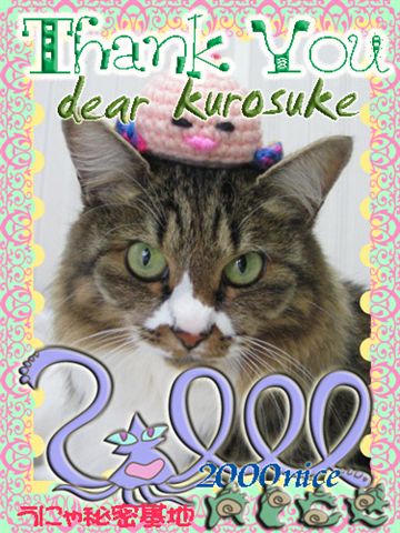 2000nice-kurosuke.jpg