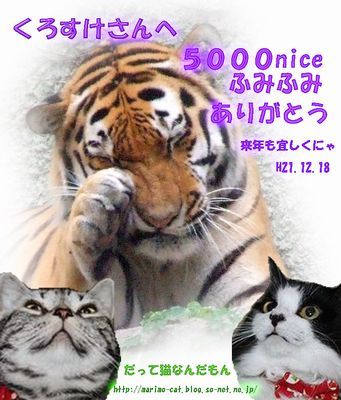 m_5000nice_kurosuke[1].jpg